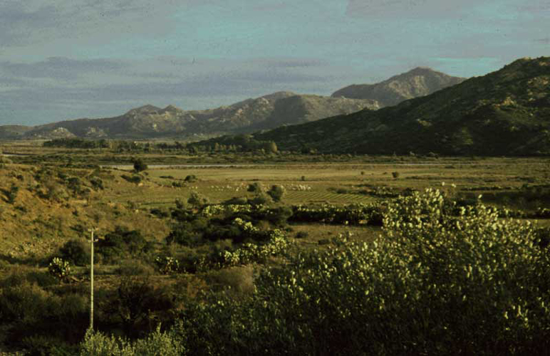 n_11  Antioco Berge 1.jpg